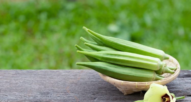 發現秋葵對兒童健康的8個好處