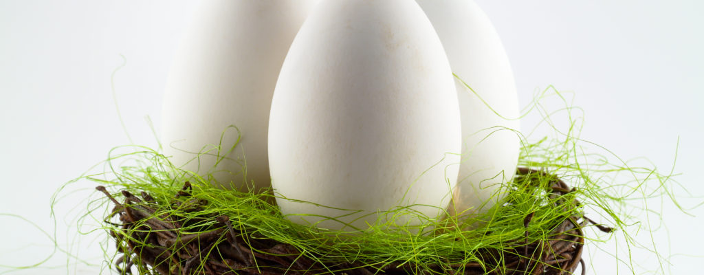 Madre elegida para comer huevos de gallina, los niños nacerán más inteligentes