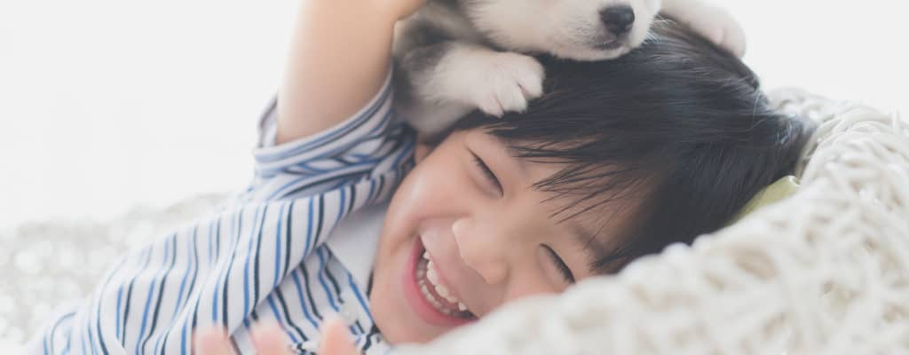 สัตว์เลี้ยง 5 ประเภทที่เหมาะสำหรับเด็กที่คุณสามารถรับเลี้ยงบุตรบุญธรรมได้
