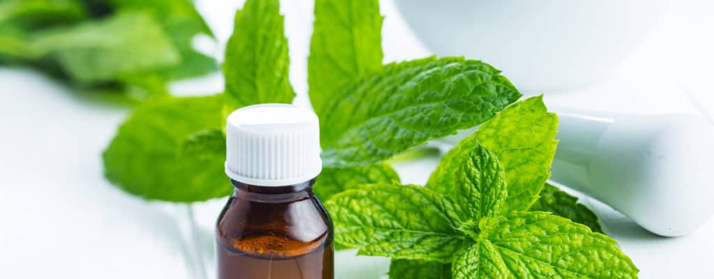 8 effects of peppermint oil on children