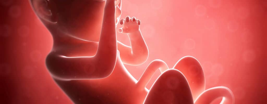 Wissen Sie, wie Babys im Mutterleib atmen?