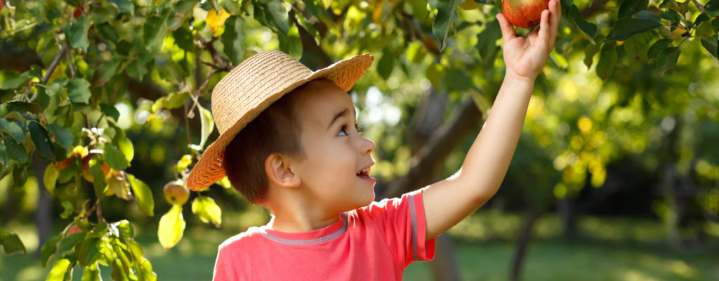 為什麼孩子要多吃水果？