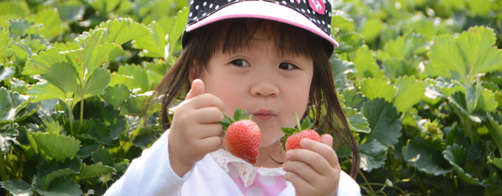 What should parents note when feeding their children strawberries?