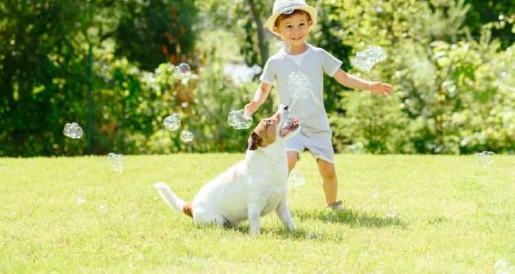 Prawidłowe postępowanie w przypadku ugryzienia dziecka przez psa i sposoby zapobiegania temu