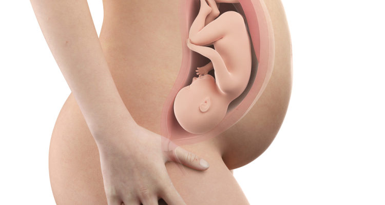 Fœtus de 36 semaines: renseignez-vous sur le développement de votre bébé pendant cette période