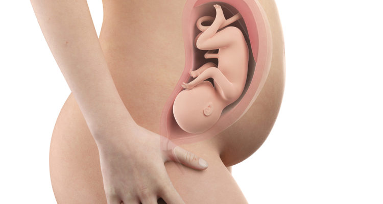 34 Wochen Fötus: Wie entwickelt sich das Baby, wie verändert sich die Mutter?