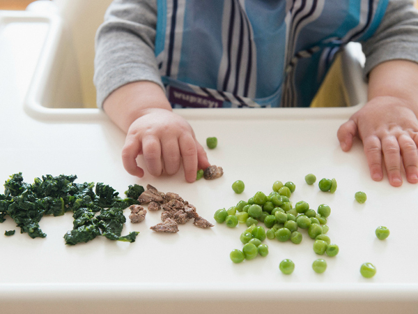生後8〜12ヶ月の赤ちゃんのための甘くて香りのよい野菜料理