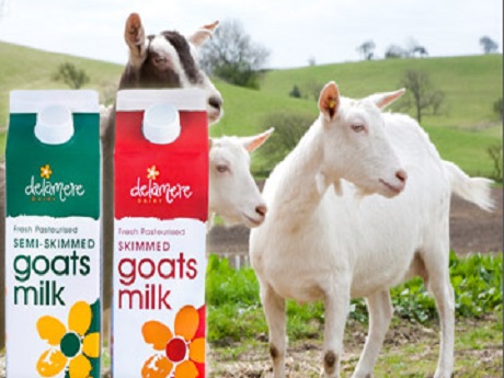 Goat milk is good for children?