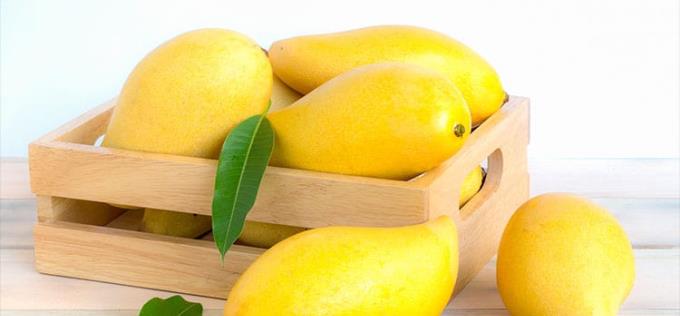 Les dones embarassades mengen mango: menjar deliciós per a les postres