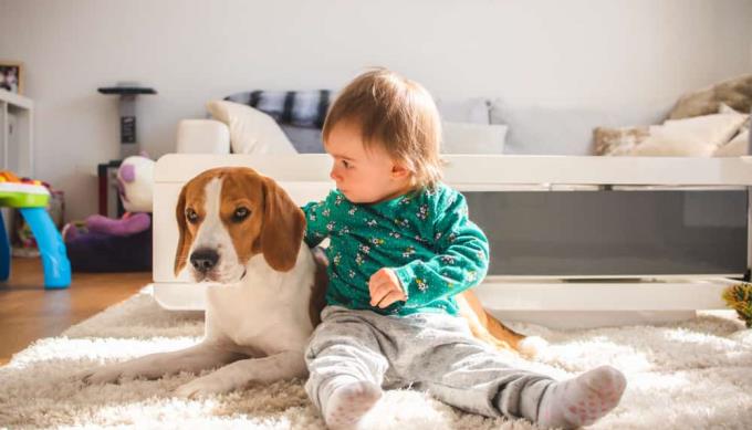 15 måneder gammel baby: Hyperaktiv, full av energi