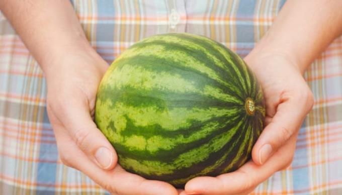 Le të zbulojmë dhe krahasojmë madhësinë e fetusit sipas javës