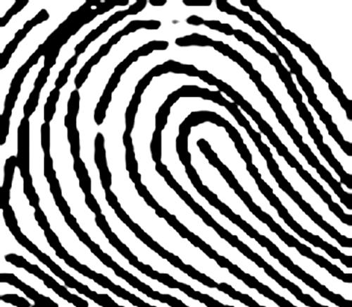 Finden Sie die Persönlichkeit Ihres Kindes durch Fingerabdruck-Biometrie heraus