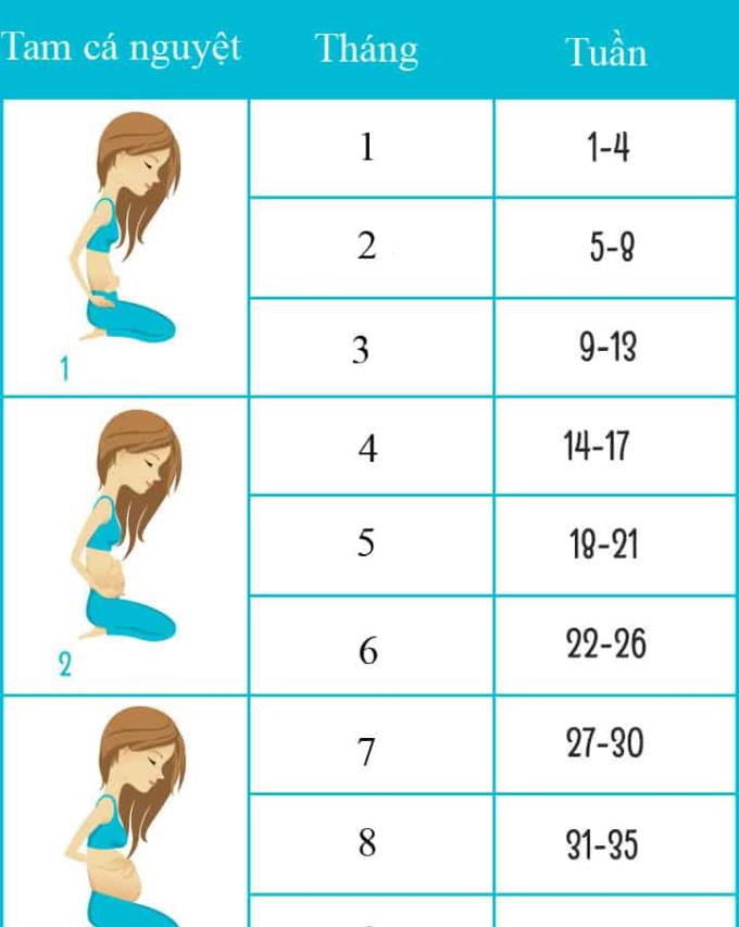 7 façons les plus précises de calculer l'âge gestationnel et la date d'accouchement