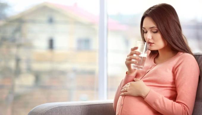 Nutrición, salud y belleza para embarazadas en los primeros 3 meses