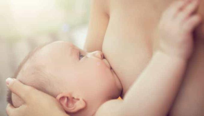 In den 4 Stadien produziert die Brust Milch für die Stillzeit bei der Geburt