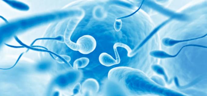 Allergie au sperme: causes et traitement