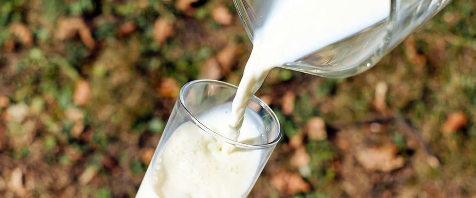 Jak dát svému miminku pít kravské mléko?