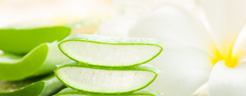 Ist Aloe Vera gegen Hautausschläge wirklich wirksam?