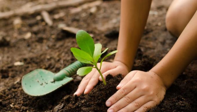 18 abilità di vita per i bambini, i genitori devono equipaggiarli