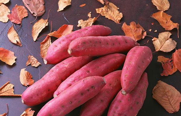 Cosa dovrebbero mangiare le madri con la stitichezza?