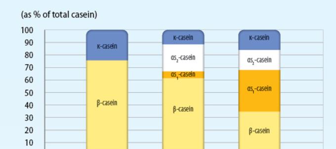 Protein i geitemelkformel - En verdifull og kul kilde til næringsstoffer som er lett å fordøye og absorbere