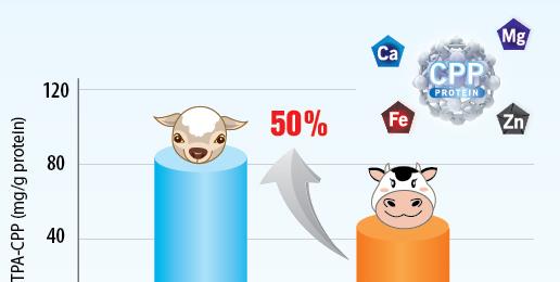 Protein i geitemelkformel - En verdifull og kul kilde til næringsstoffer som er lett å fordøye og absorbere