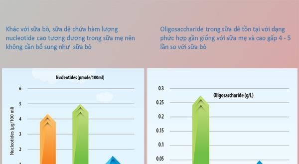 Er geitamjólk með formúlu bara auðvelt að melta og taka í sig?