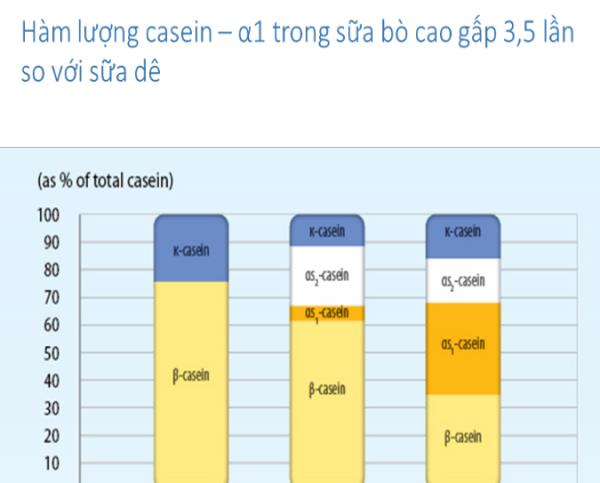 Er formel geitemelk bare lett å fordøye og absorbere?