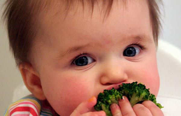 La magia della fibra nel menù dello svezzamento per i bambini di 6 mesi