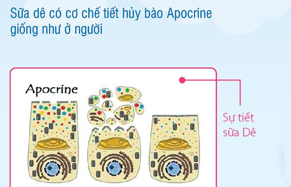 Atklājiet kazas piena formulas ražošanas procesu