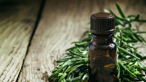 Effects of tea tree oil on postpartum women, is it safe for children?