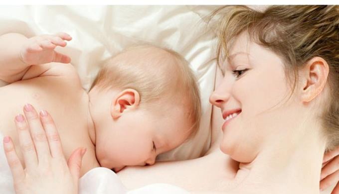 Come allevare un neonato standard nei primi 3 mesi