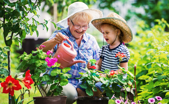 Hoja de referencia de conceptos básicos de jardinería para un FamilyToday