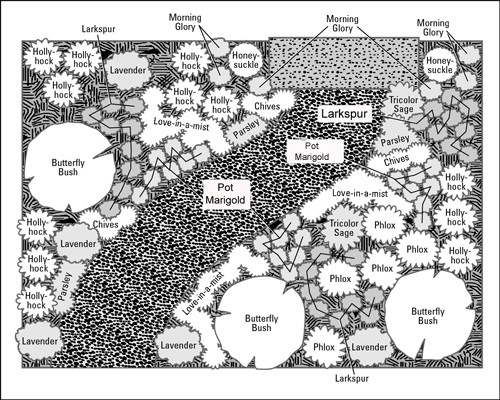 Jardins annuels : comment combiner les formes et les tailles des plantes