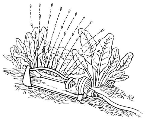 Systèmes darrosage pour votre potager