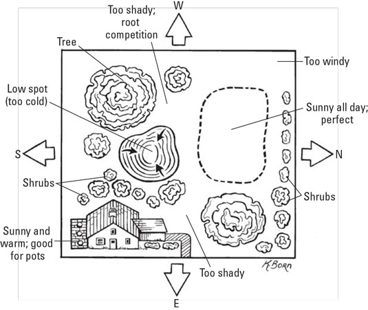 Comment déterminer lemplacement et la taille de votre jardin Homestead