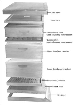 Comment identifier les pièces de base en bois dune ruche