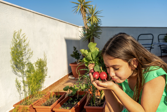 10 maneras de cultivar un huerto en la ciudad para niños