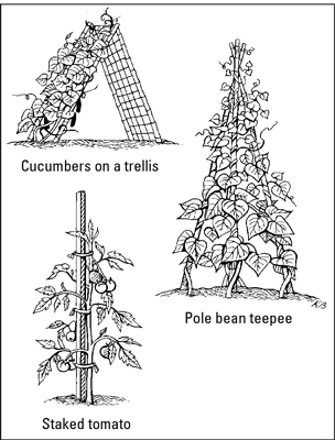 可食用花園的花園樁、棚架和籠子