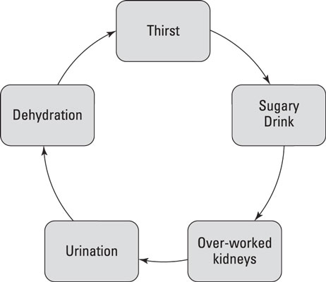 أهمية الماء والمشروبات منخفضة الكربوهيدرات